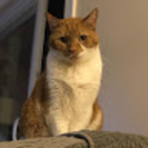 Meet your Posher, Claireyblueberry